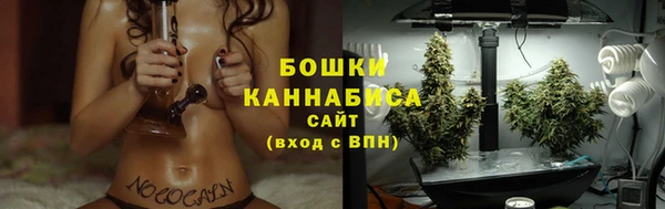 2c-b Елабуга