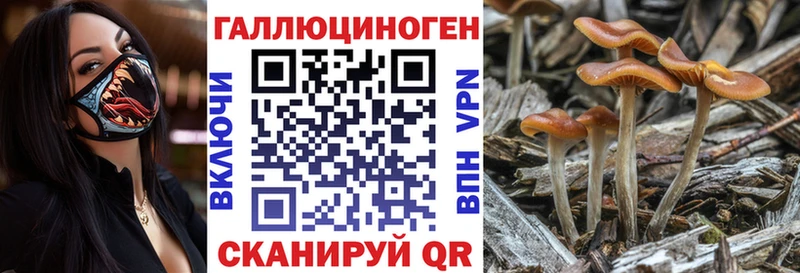 Купить закладки  Межгорье  Псилоцибиновые грибы Psilocybine cubensis 